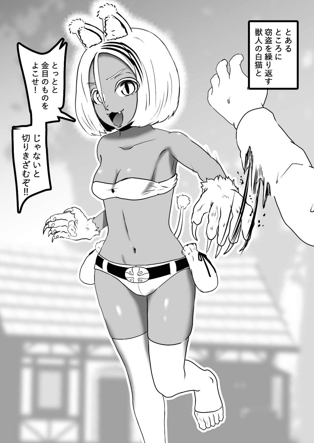 ヴァンパレイド8・5 ～白猫 黒狼 調教編～