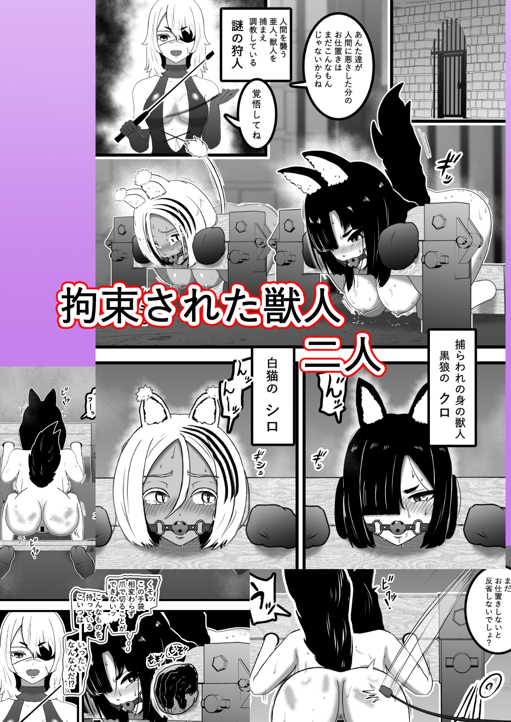 ヴァンパレイド8・5 ～白猫 黒狼 調教編～