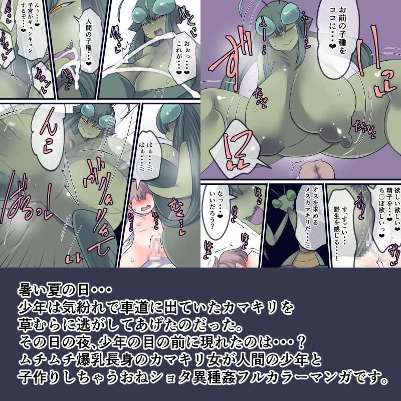 あの時助けていただいたカマキリですが子種頂きます