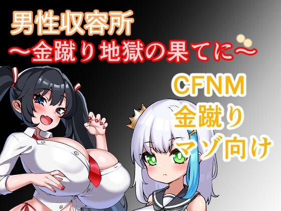 男性収容所～金蹴り地獄の果てに～