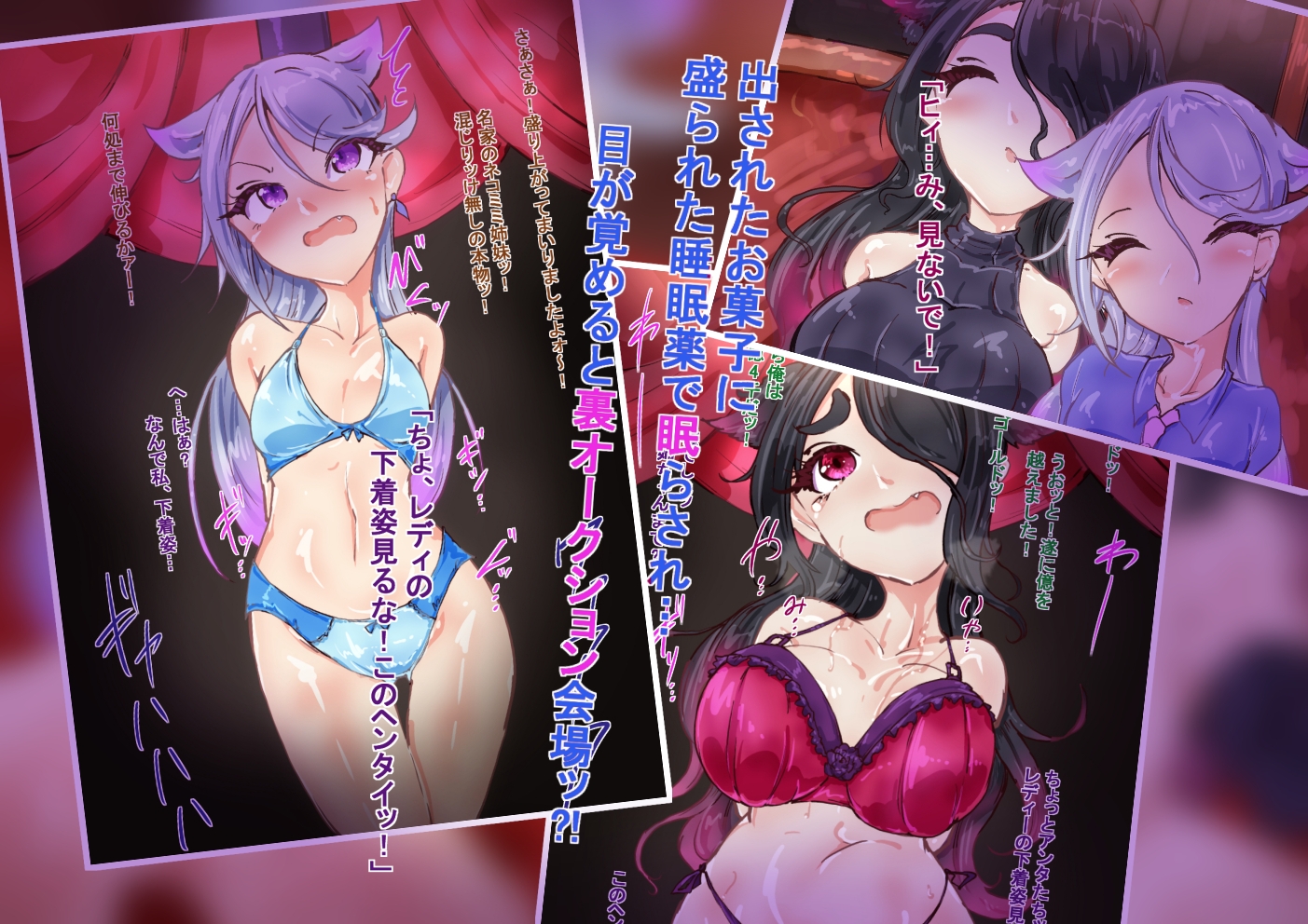 猫耳お嬢さま。性奴○になる。前編