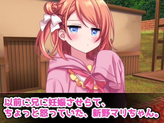 孕ませ妹2～童貞の兄の為に「公衆便所」で妊娠する生意気で優しい妹～Hシーン動画ミニゲーム