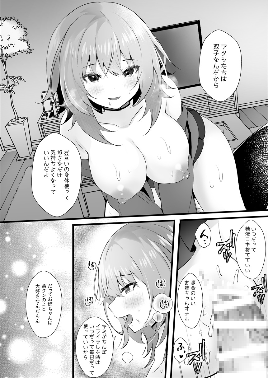 双子のお姉ちゃんは今日も弟クンが大好き