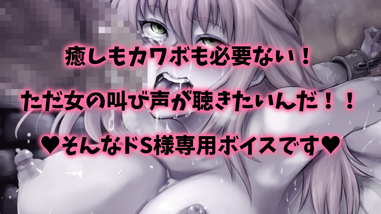 【精神崩壊オホ声絶叫】女騎士!オークちんぽに無様敗北!!~異種間レ○プ!マンコ破壊・肛門性交・オホ声・怪声~【早期購入でDM特典付き♪】