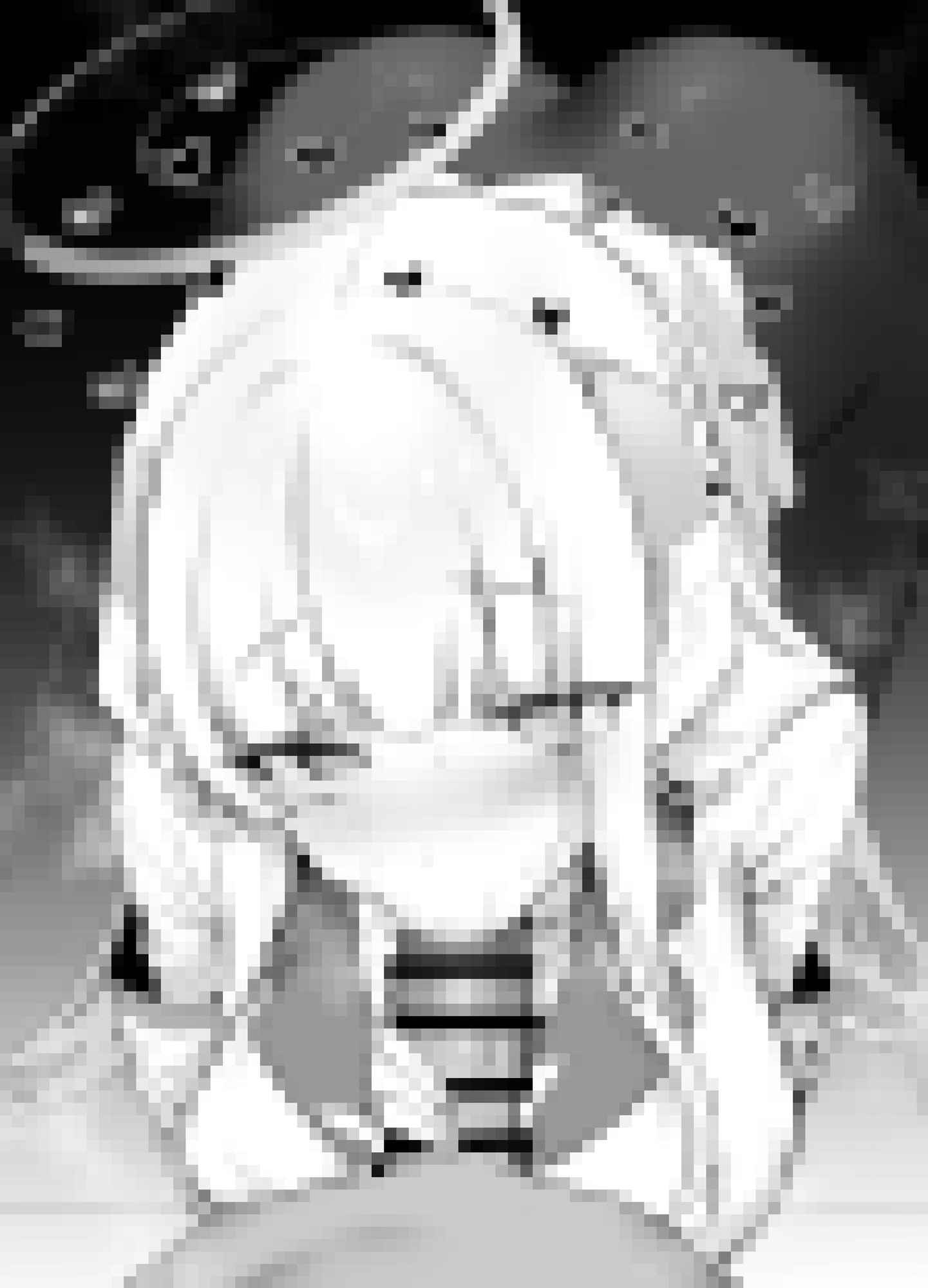 エロ○キ先生育成記録