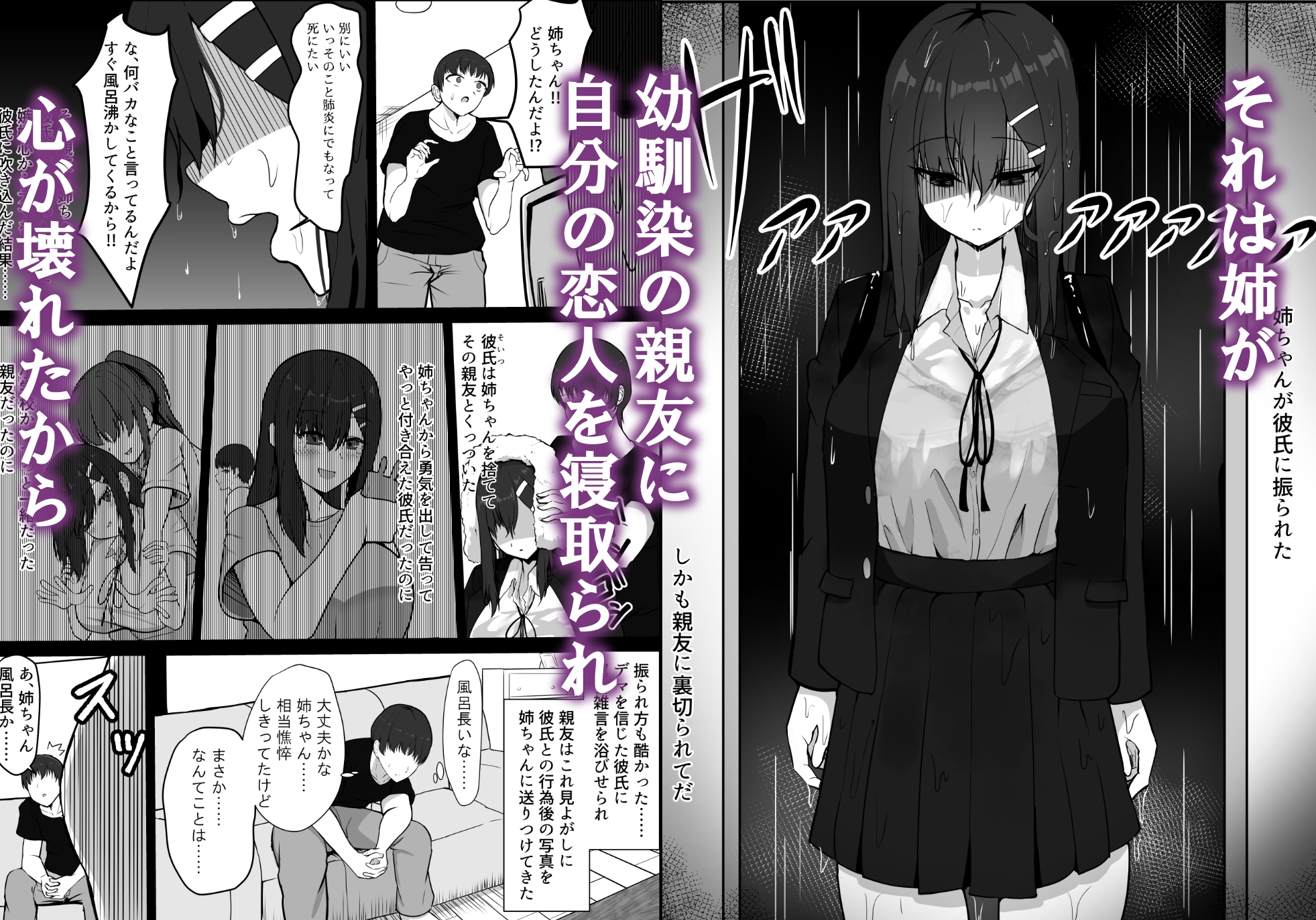 失恋した姉を妊娠させた話