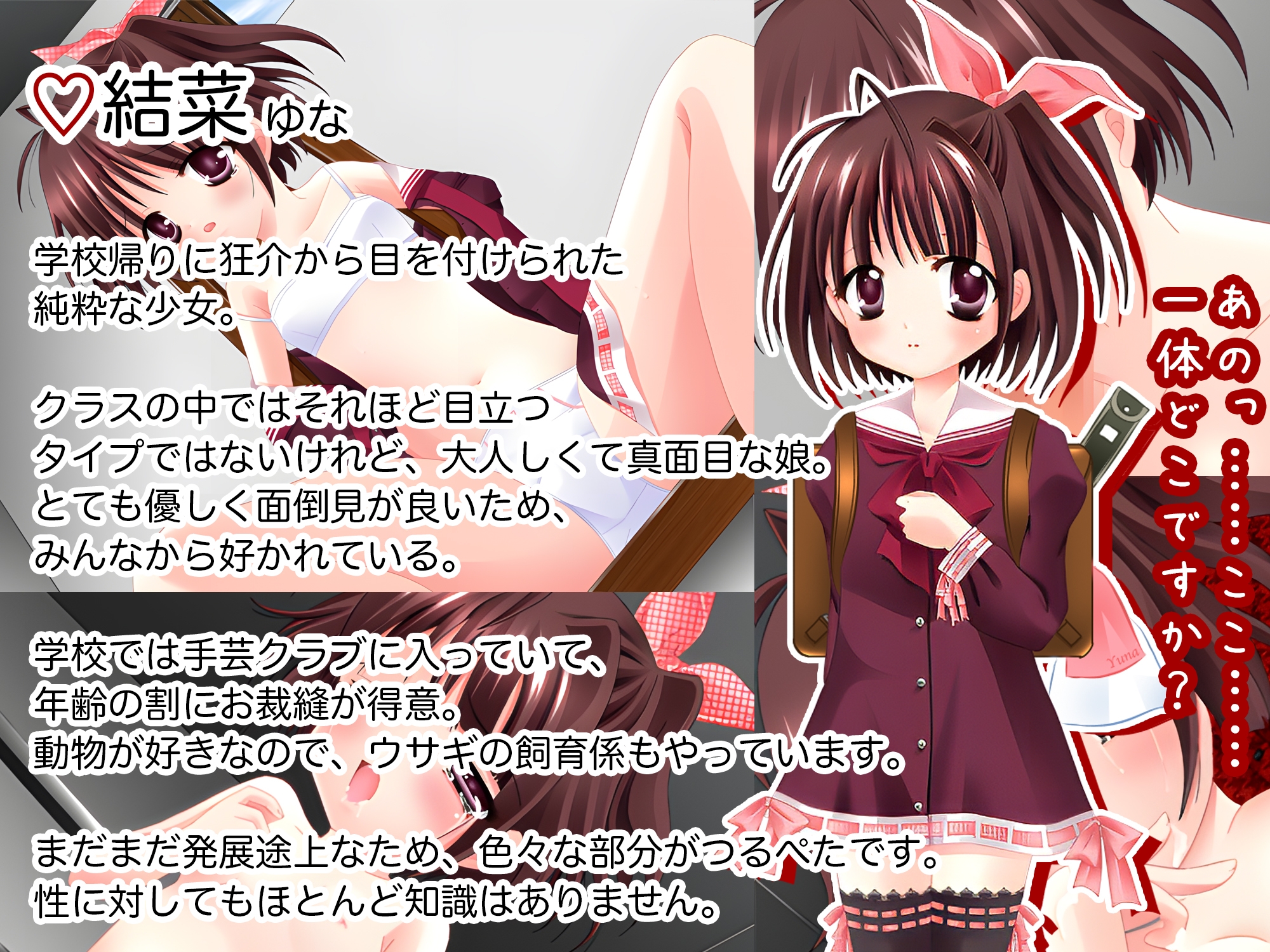 プロラチリスト狂介R〜蕾悦地下室七日間〜