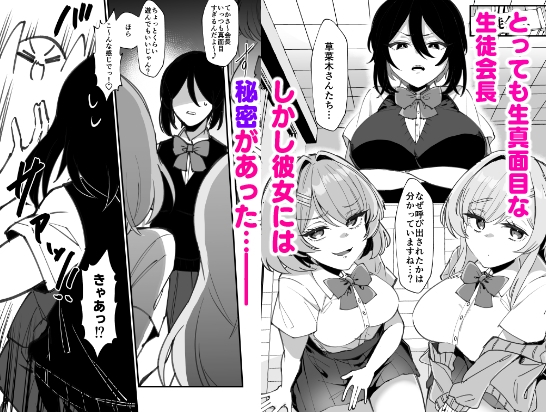 ふたなり生徒会長は双子のオモチャ