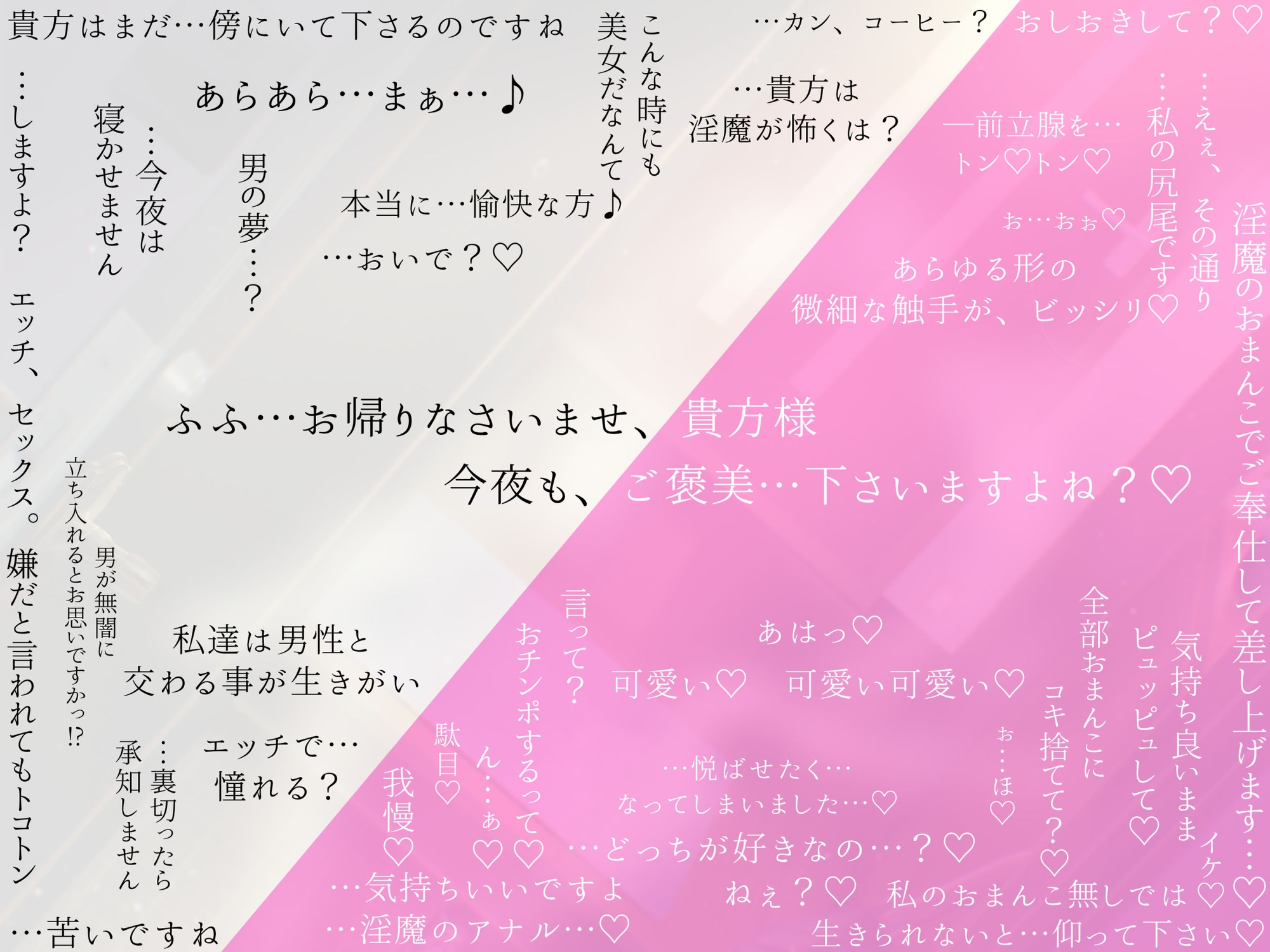 白銀の淫魔 あなたが助けた絶世の美女はエッチで優しい良妻賢母なおまんこ淫魔でした