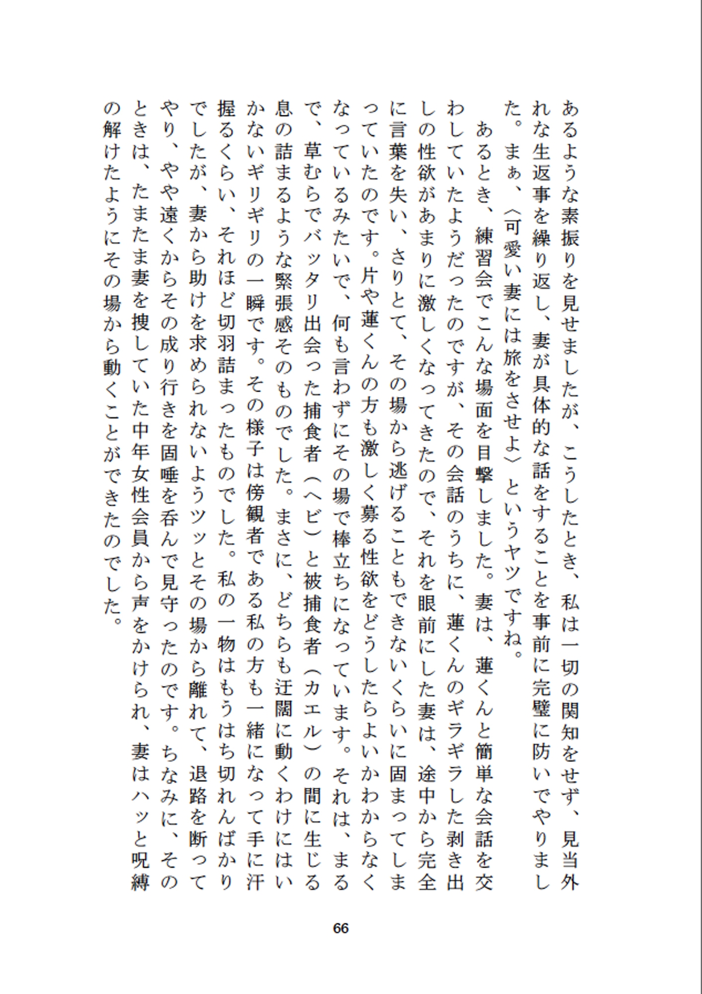 中高年女子市民トライアスロン・エピソード4 愛しの年増妻(48歳工場勤務) 恥辱秘悦の寝取られ編