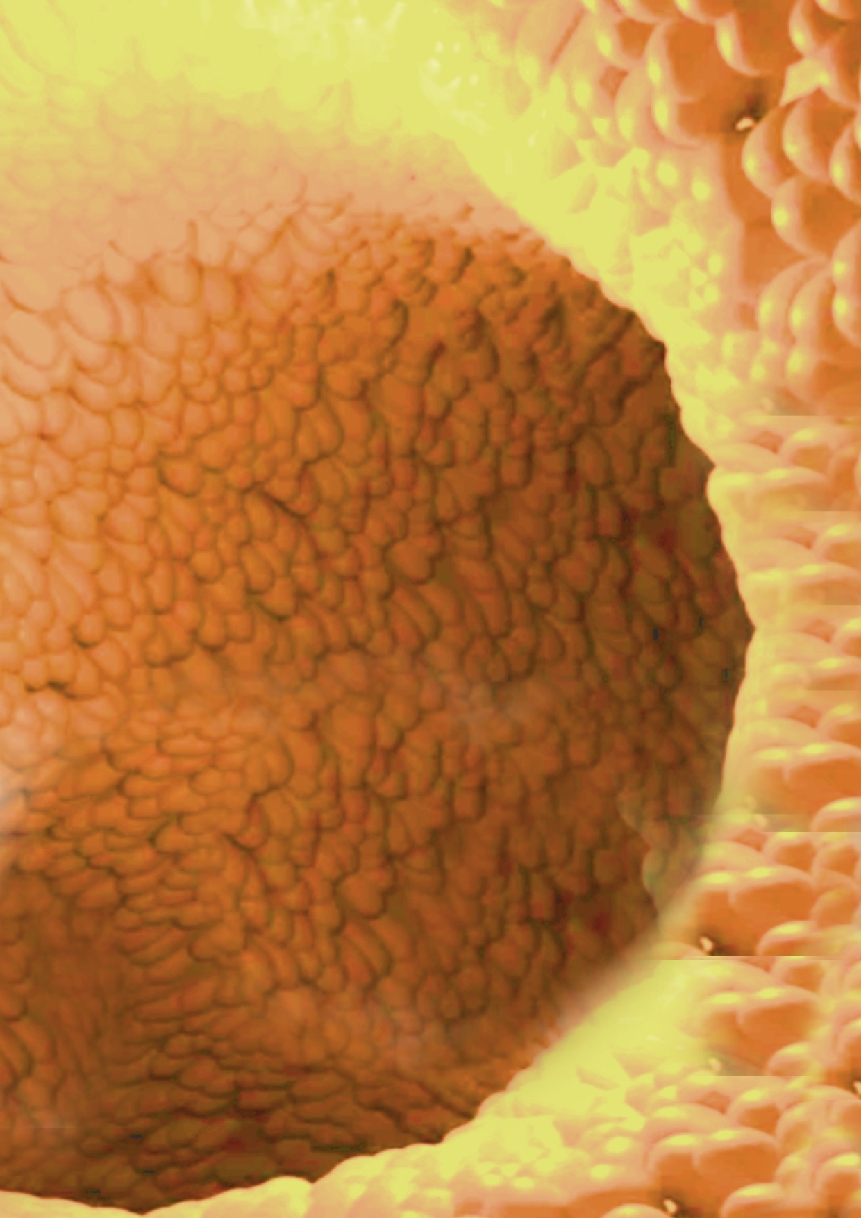 ◆カズノコ天井の和菜ちゃん2◆〜コンドームってなぁに?〜やっぱりオナニーはやめられないおまんこの穴の中のコリコリいじり…お兄ちゃんのおちんちんでココを擦って★ィ