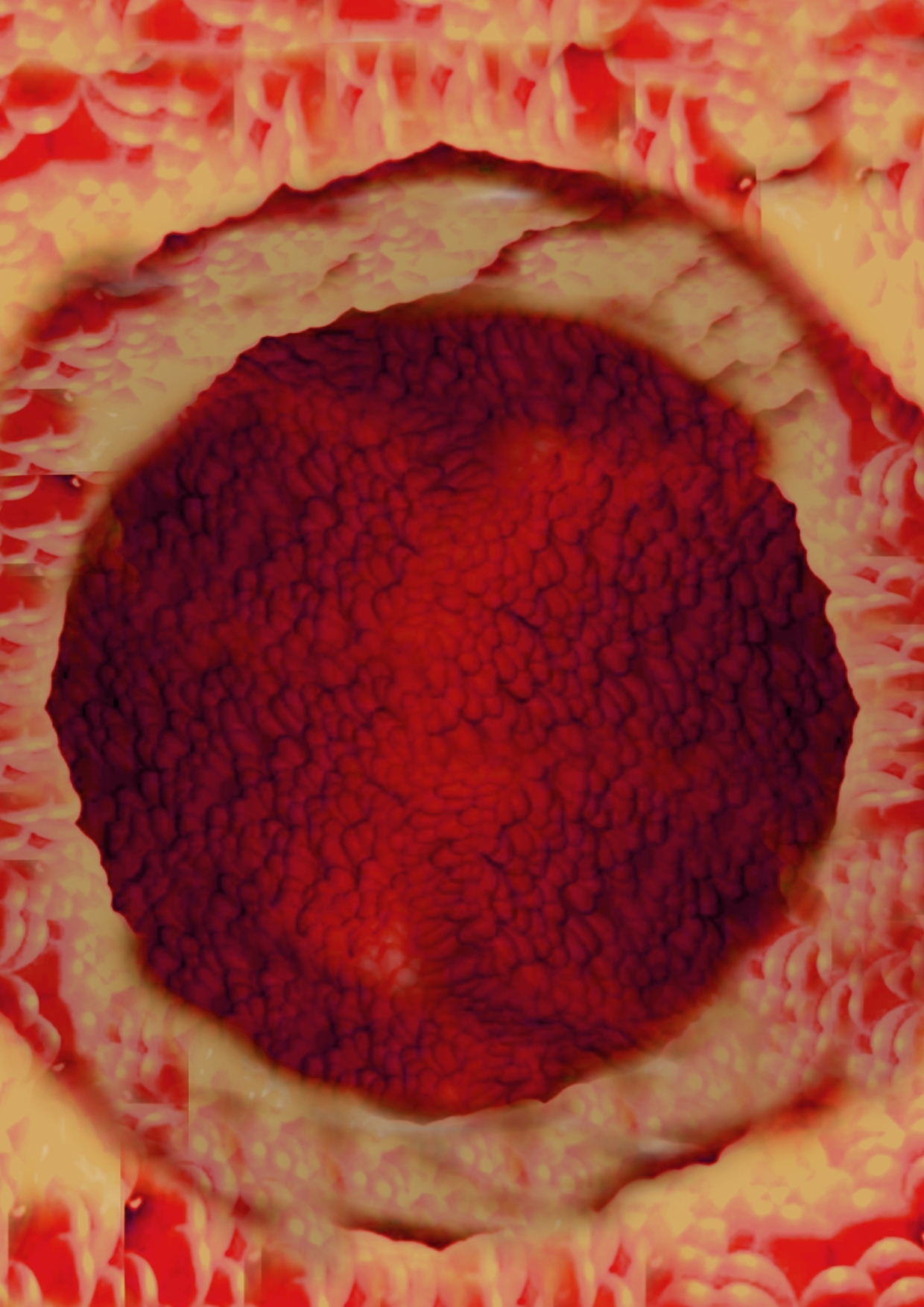 ◆カズノコ天井の和菜ちゃん2◆〜コンドームってなぁに?〜やっぱりオナニーはやめられないおまんこの穴の中のコリコリいじり…お兄ちゃんのおちんちんでココを擦って★ィ