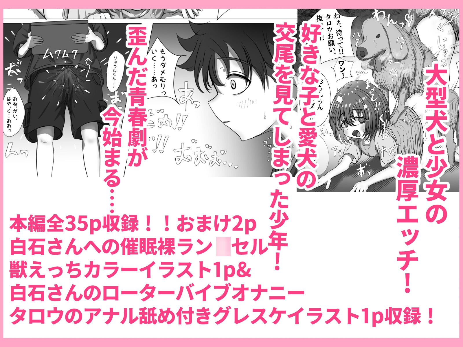 好きな子がウチの犬にやられてた