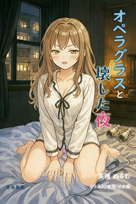 オペラグラスと壊した夜