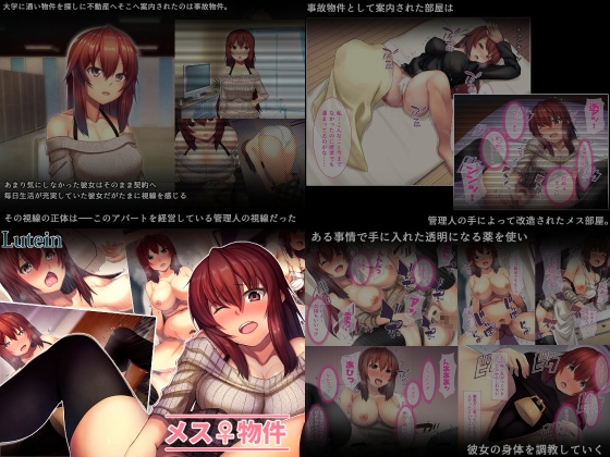 るていんSS4点パック5