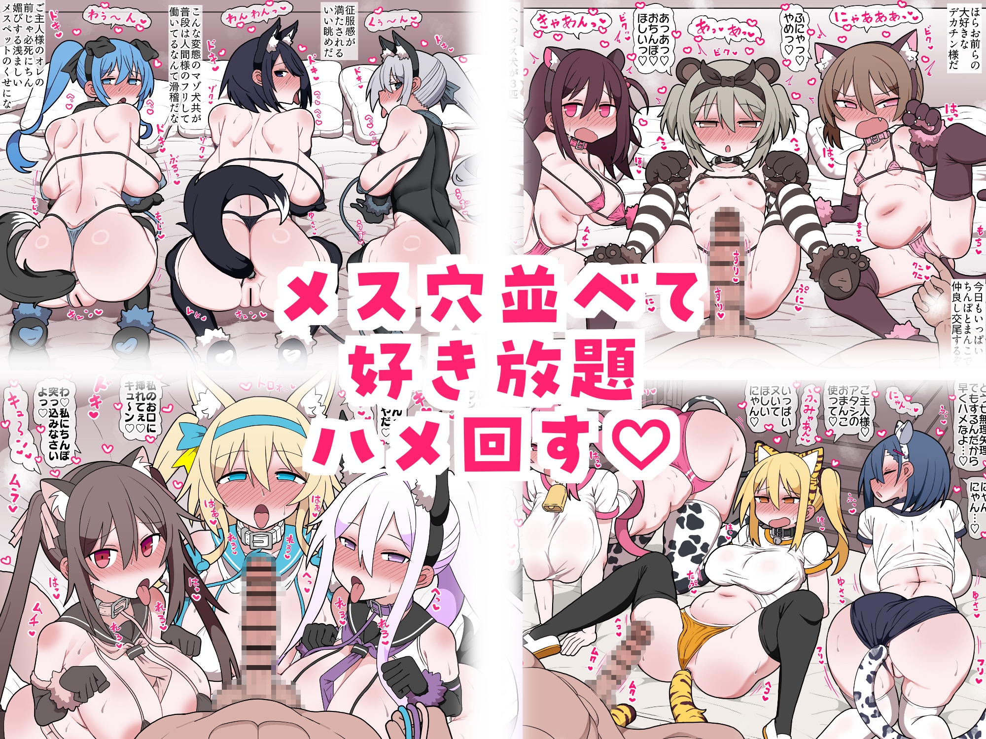 メスペットちゃん交尾記録vol.1