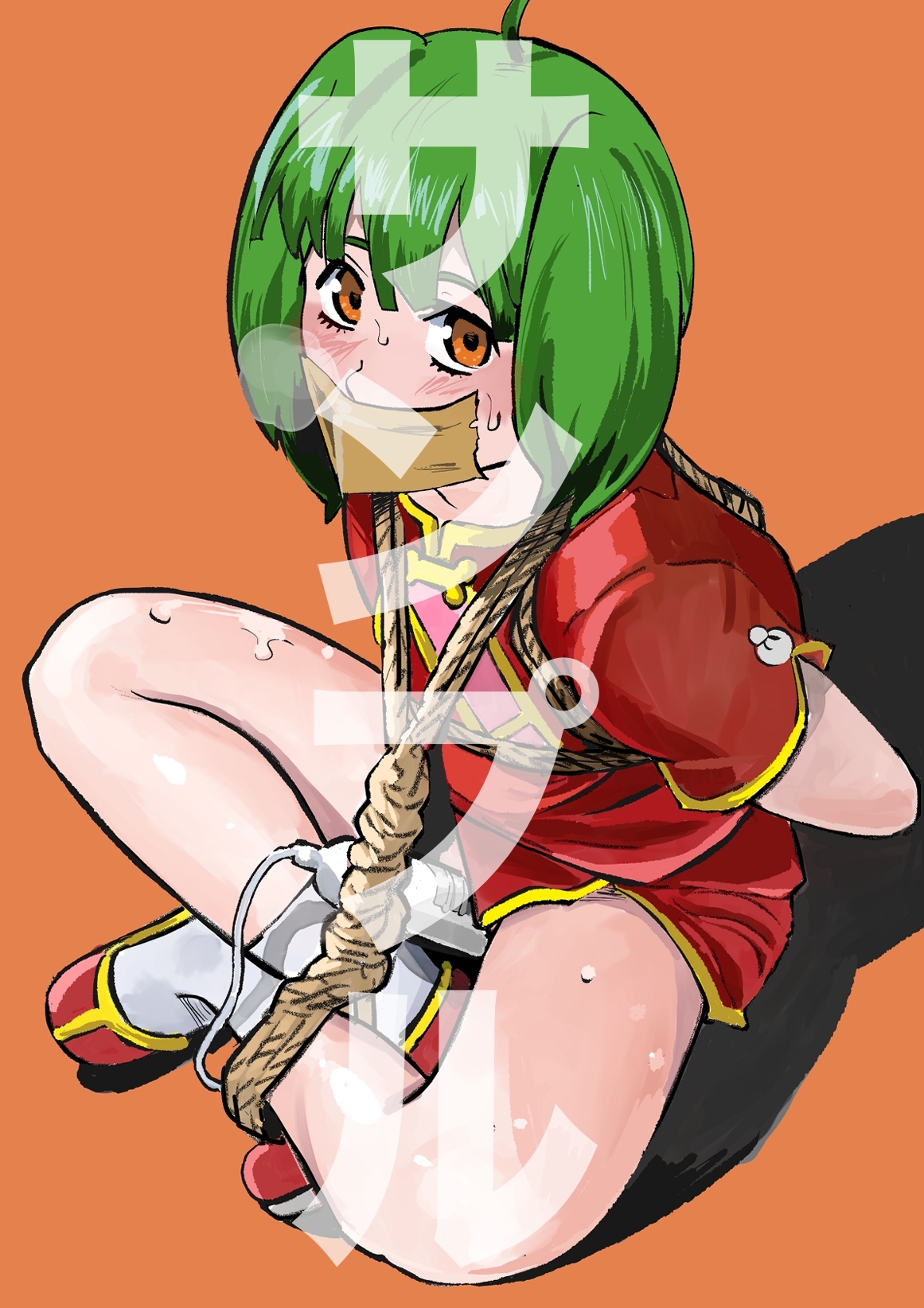 マク○スF キャラ緊縛