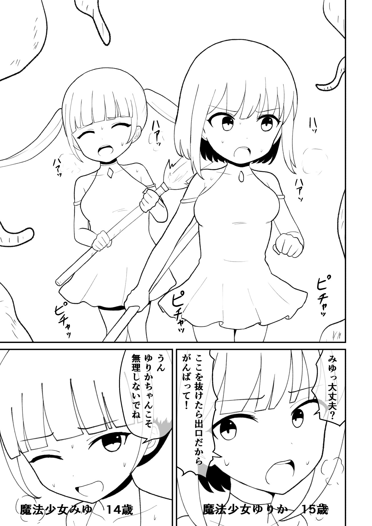 敗北した魔法少女は淫獣にとって性欲を満たし繫殖するために都合のいい肉袋