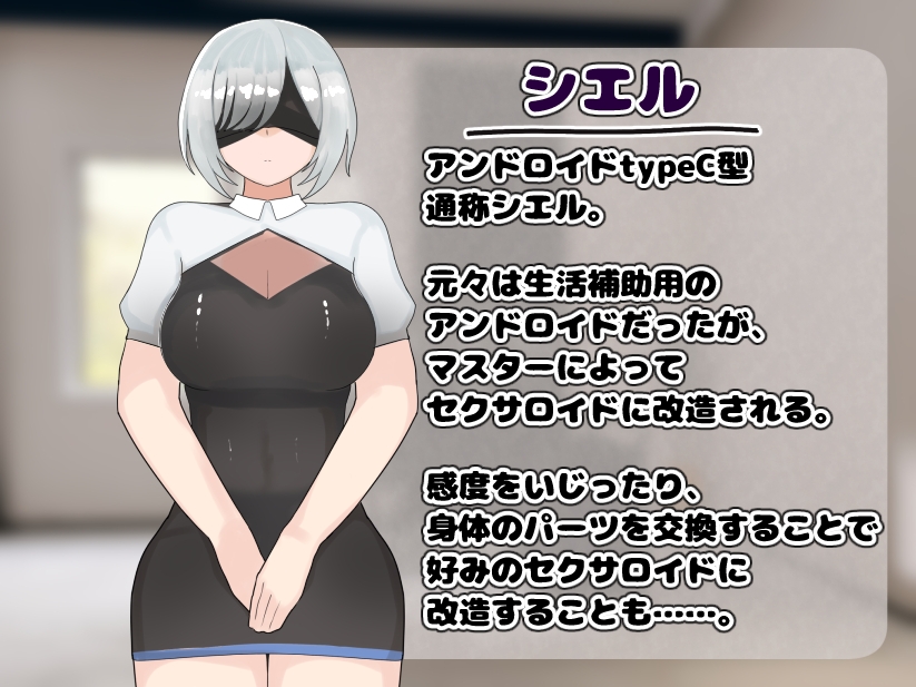 日常生活補助アンドロイドをセクサロイドに改造する