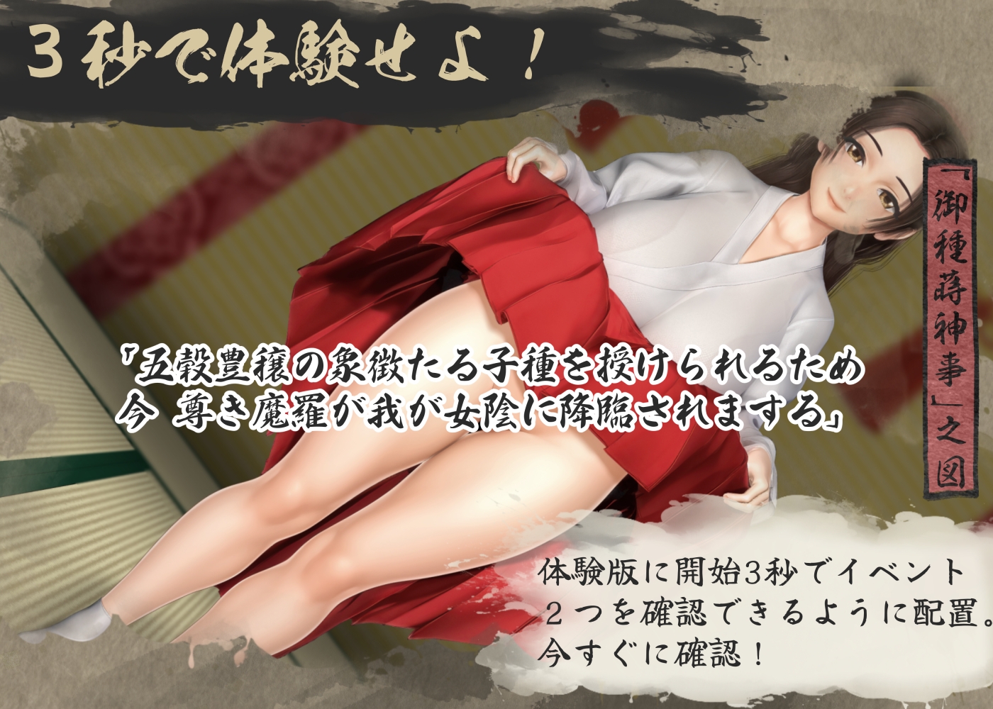 くノ一性技決戦活劇 寛永夜伽合戦