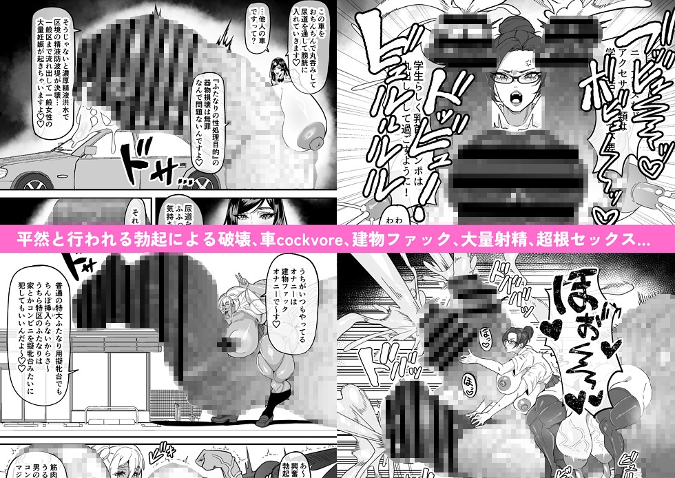 ふたなり特区調査報告書