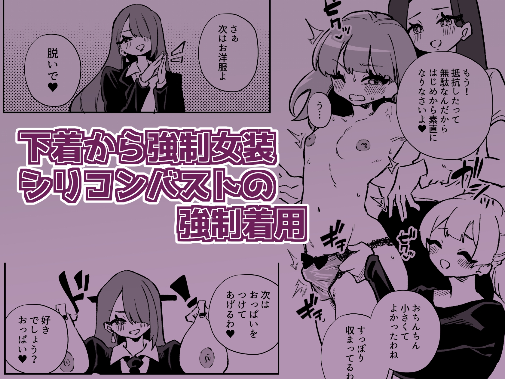 強○女装女性専用車両