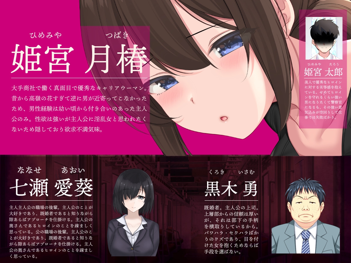 連続痴○事件簿～妻は真相を孕む～