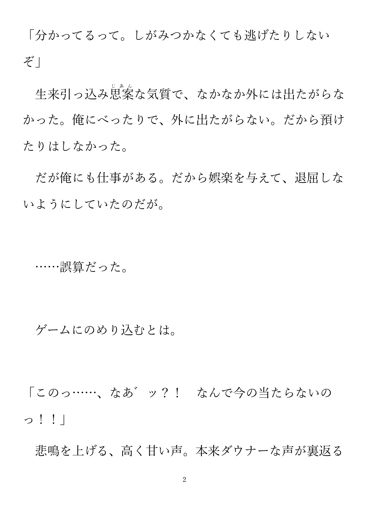 シュリとペットとゲーマーキャット