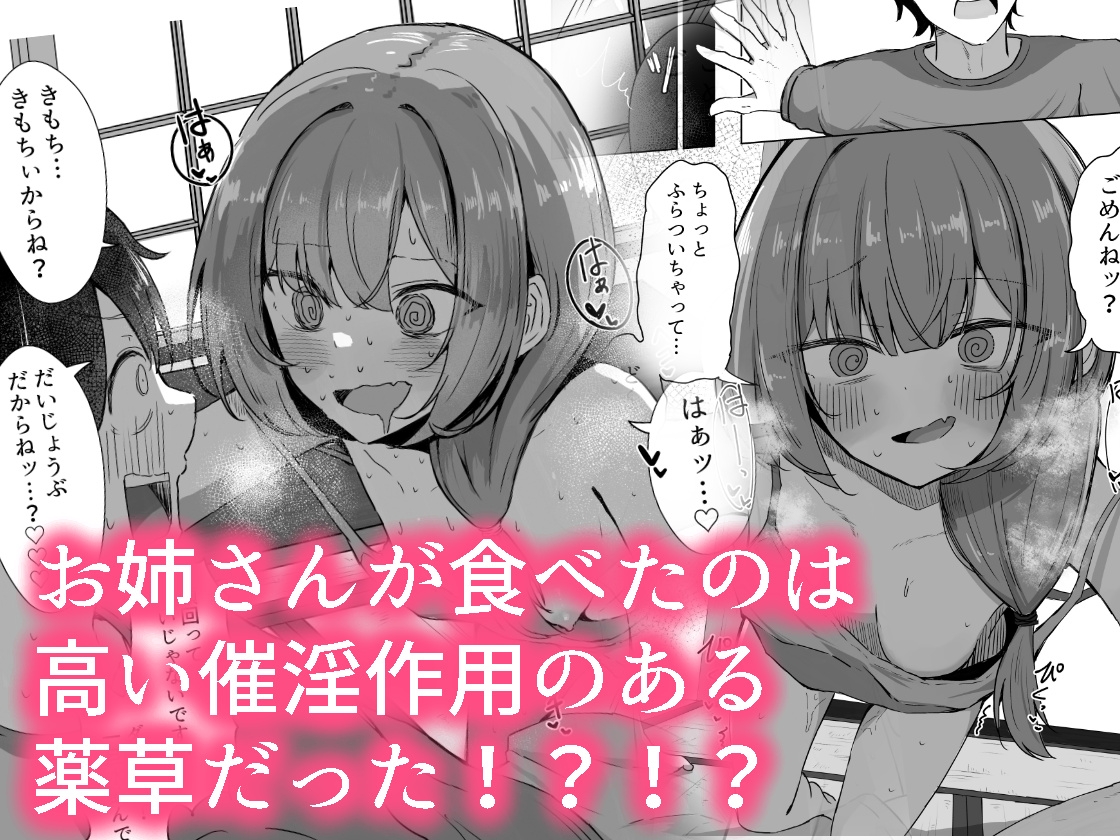 山菜テンプテーション～薬草で発情したちょっぴりMのお姉さんが止まってくれない。～