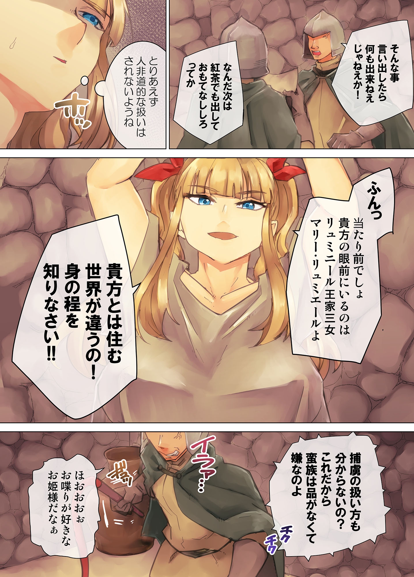 囚われ姫騎士 強○胸辱