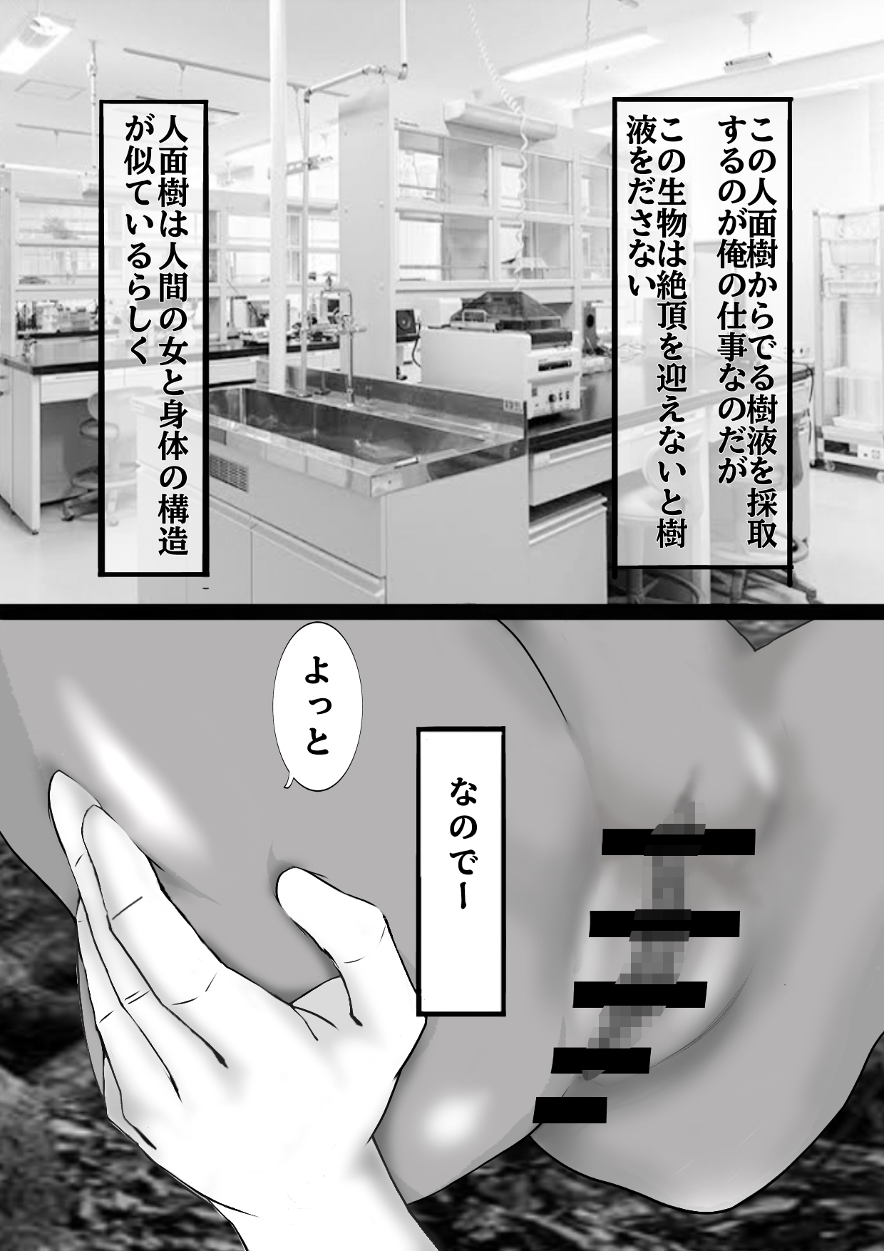 研究のため人面樹の樹液(母乳)を採取します!!