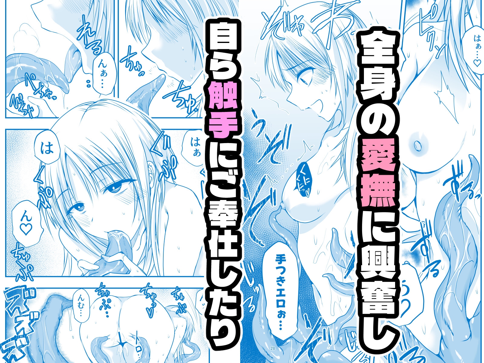 メリー・テンタ・クリスマス！