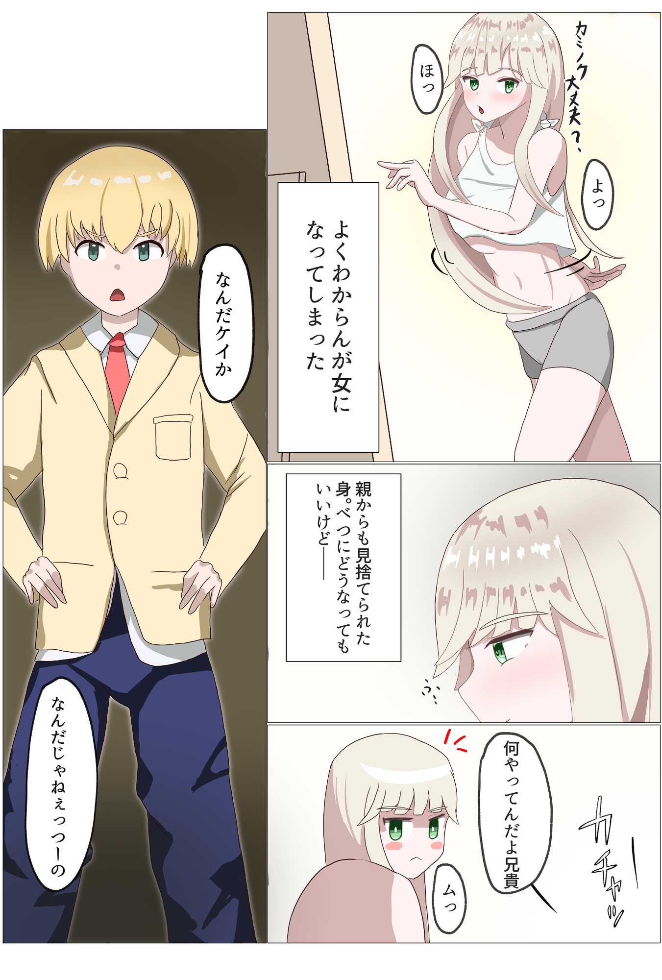 TSしたら家族がメチャクチャになった話