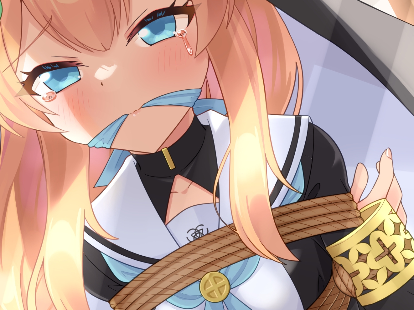 着衣緊縛CG集 なわのかなた 2024A