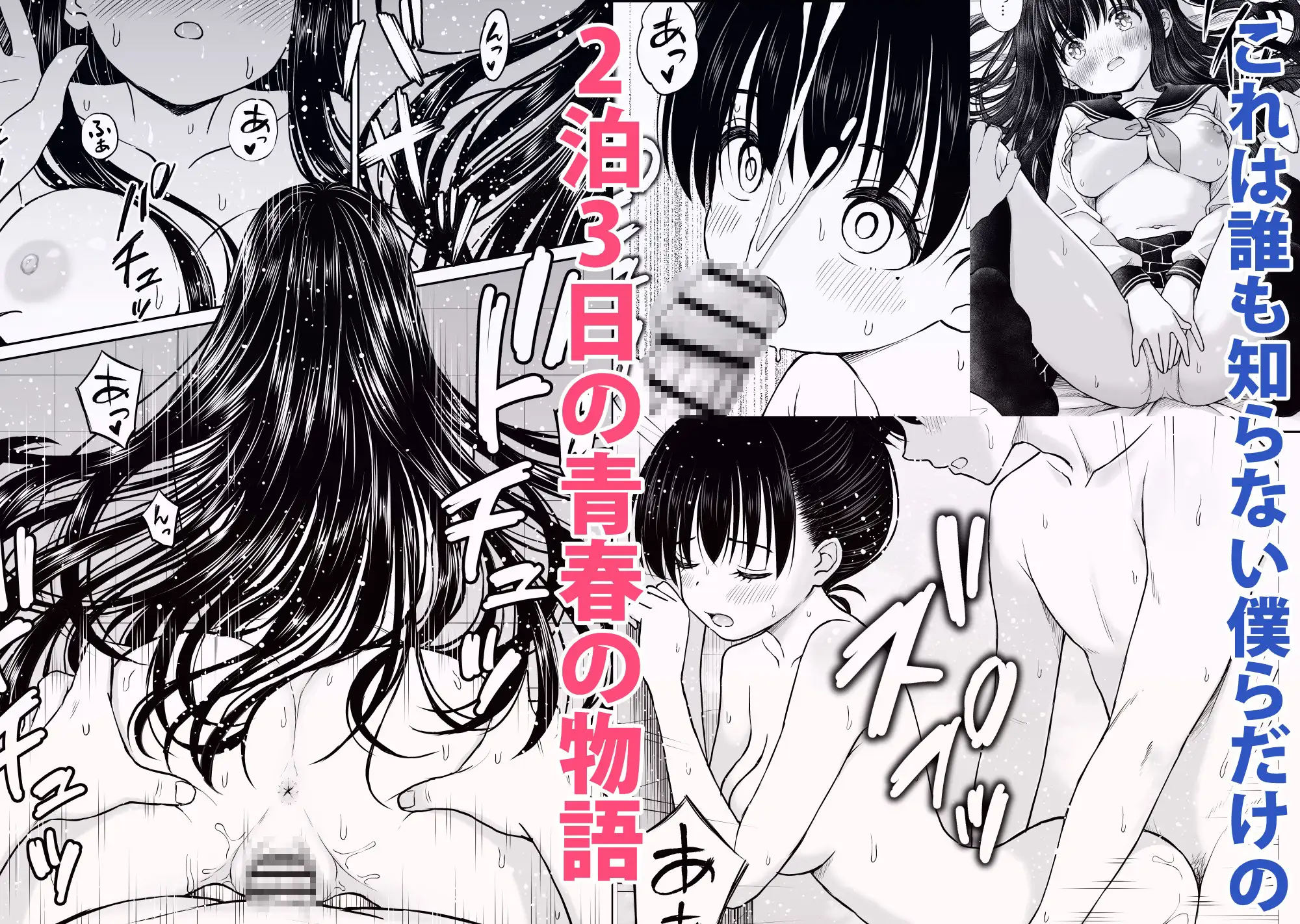 裏修学旅行日記〜青春できない僕らの、秘密の2泊3日〜