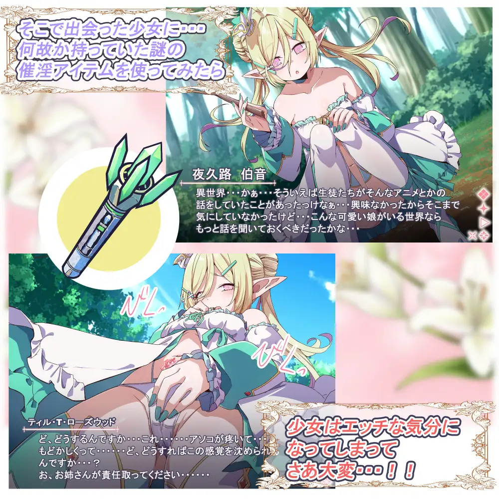 Project Meerverce Series5 つるぺたエルフを襲ってつるぺたサキュバスに襲われるヘンタイお姉さんの話