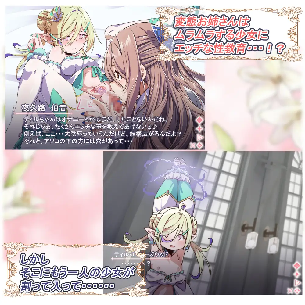 Project Meerverce Series5 つるぺたエルフを襲ってつるぺたサキュバスに襲われるヘンタイお姉さんの話