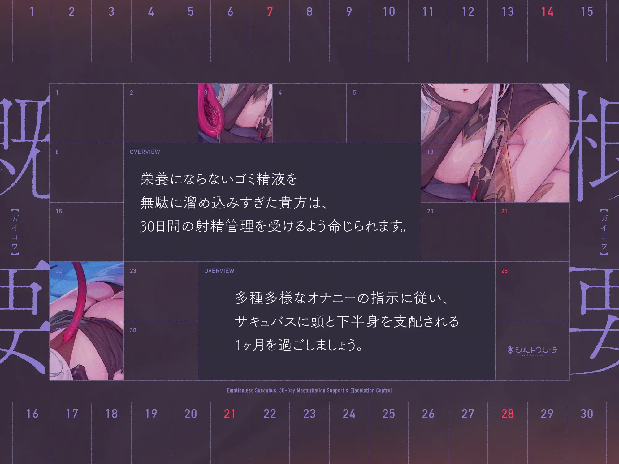 無感情サキュバスの30日オナサポ射精管理