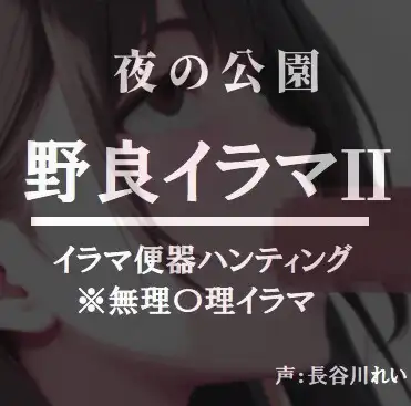 夜の公園ー野良イラマ2【夜道はイラ魔に要注意】