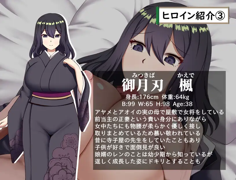 武家女当主アヤメの受難 ～刀と愛と助平小僧から離れられない体～