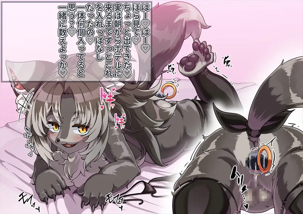 FANBOXバックナンバー2026年2月公開分