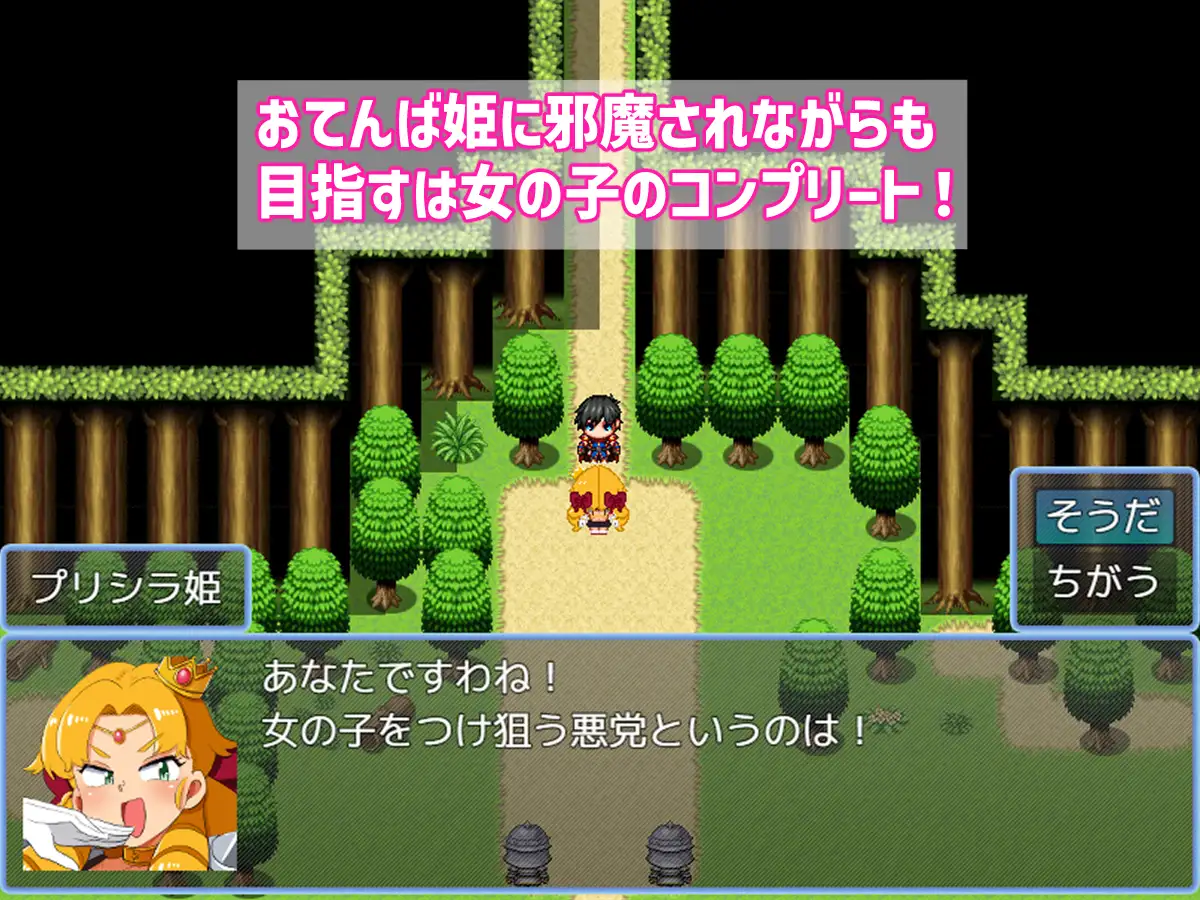バトルに勝ったら即エッチ～バトルファックRPG～