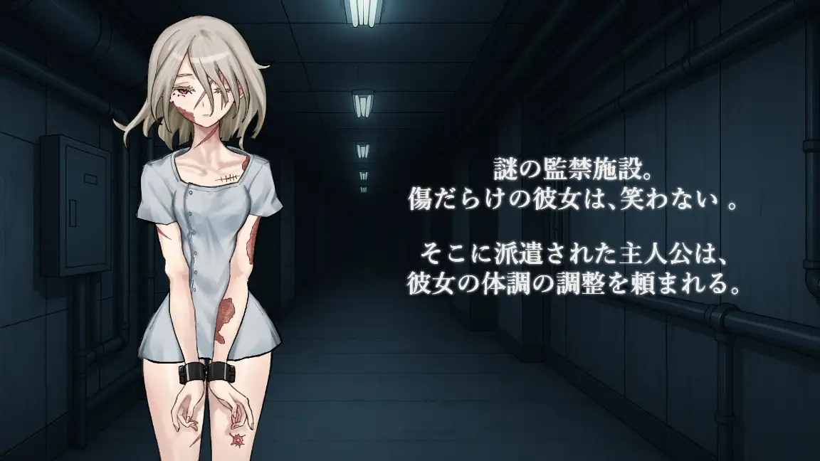 被検体シスー監禁施設で傷だらけの彼女を救う純愛記録ー