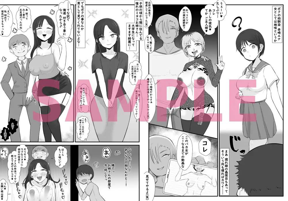 【BSS】ボクは相手にされないヤリマン図鑑