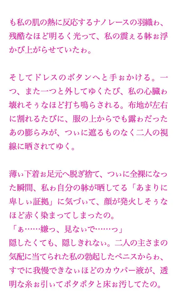 聖フタナリ王国誌 第八章(六巻) 虚飾の救済