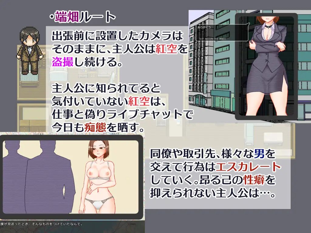 出張 帰宅 妻 カメラ