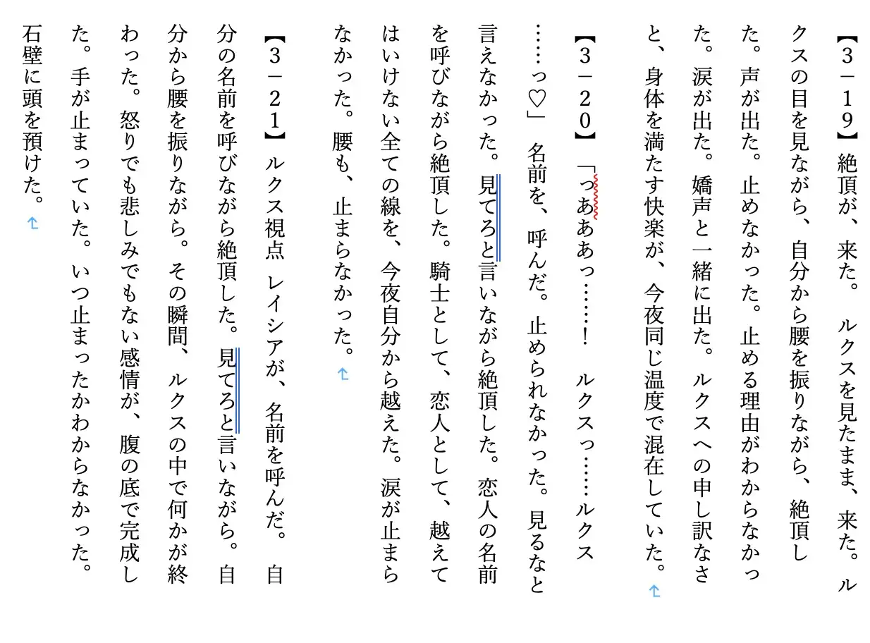 【ファンタジー/女騎士/巨乳堕落/ノベルス】氷雪姫騎士三姉妹 次女調教編3〜老いた帝王の征服録 暴君は高貴なる王妃・騎士・聖女を悉く支配する〜