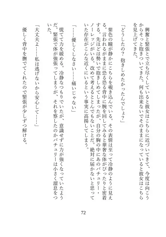 東方甘夜録~紅い館の甘い夜~