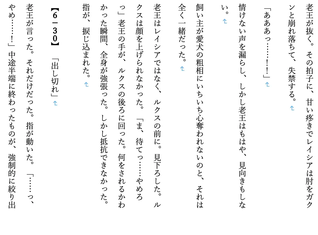 【ファンタジー/女騎士/巨乳堕落/ノベルス】氷雪姫騎士三姉妹 次女調教編6〜老いた帝王の征服録 暴君は高貴なる王妃・騎士・聖女を悉く支配する〜