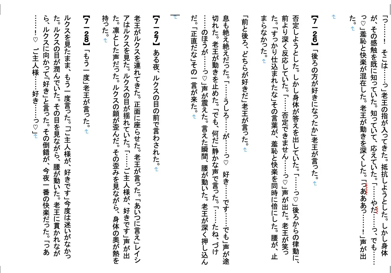 【ファンタジー/女騎士/巨乳堕落/ノベルス】氷雪姫騎士三姉妹 次女調教編7〜老いた帝王の征服録 暴君は高貴なる王妃・騎士・聖女を悉く支配する〜